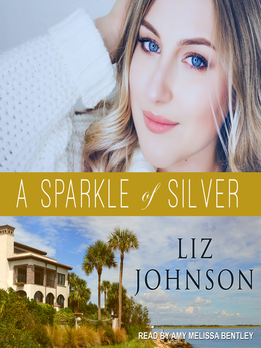 Cover image for A Sparkle of Silver
